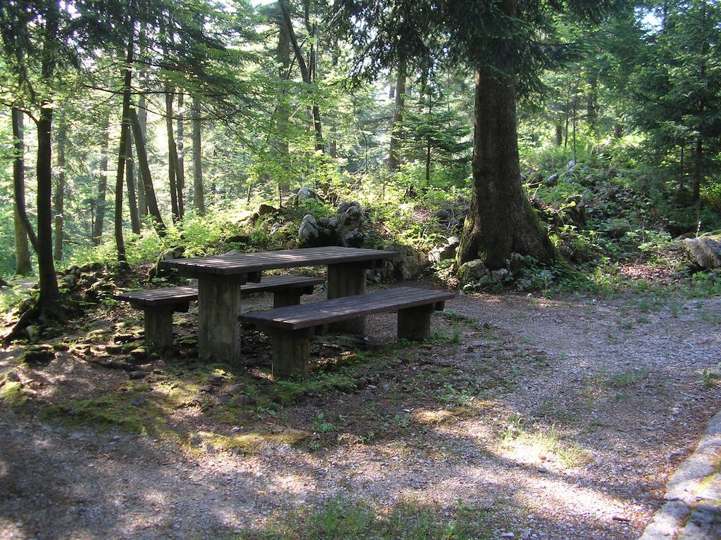 Camping Pivka Jama 포스토이나 외부 사진