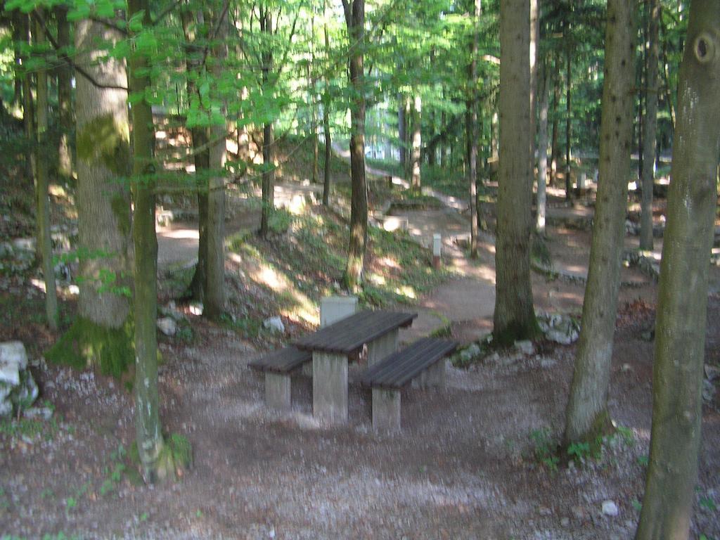 Camping Pivka Jama 포스토이나 외부 사진